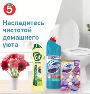 Акция Domestos, Cif, Glorix и Пятерочка: «Насладитесь чистотой домашнего уюта»